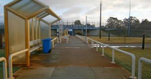 Entrance pathway to Casuarina