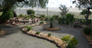 Image of the Noongar outdoor cultural area