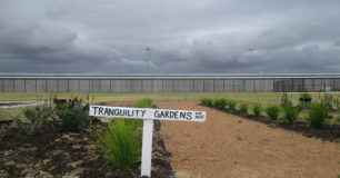 Image of Tranquility Gardens adjacent to Melaleuca's oval