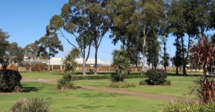 Image of large trees in grounds of Casuarina Prison